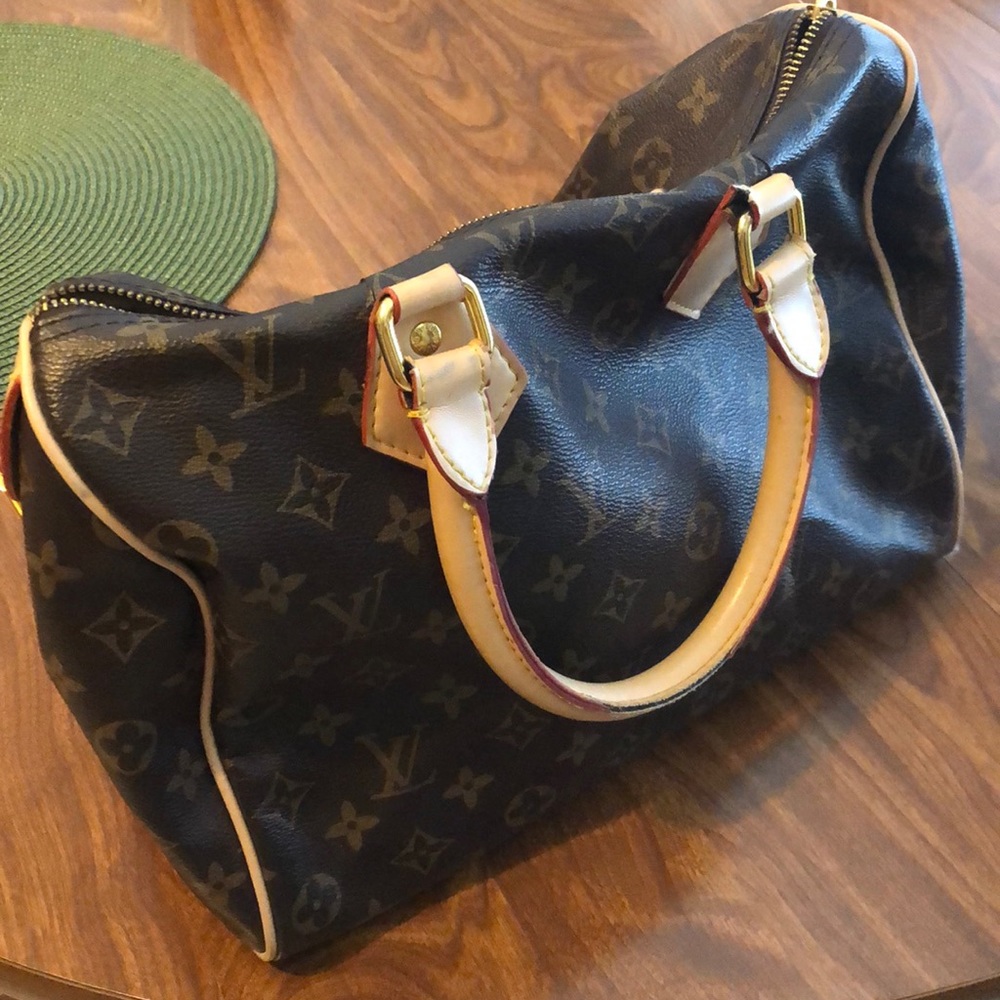 Louis Vuitton Purse